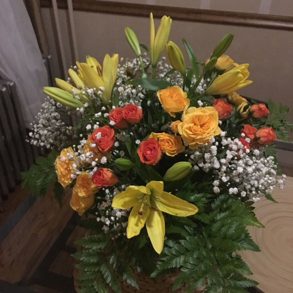 Meet your Posher, Aurelia